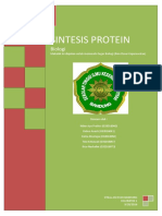 Sintesis Protein (Biologi) Kelompok 1
