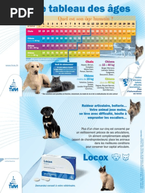 Bloc Tableau Des Ages Pdf Mammiferes Comme Animaux Domestiques Races De Chien