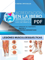 Lesiones musculoesqueléticas