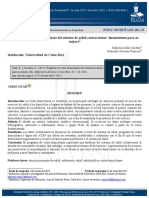 Programa de Visita Domiciliaria Del Sistema de Salud Costarricense: Lineamientos para Su Mejora