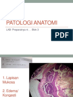 Patologi Anatomi Blok 3