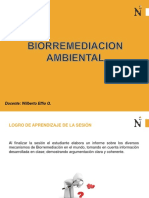 Biorremediacion Ambiental