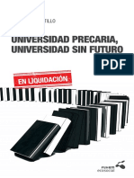 Universidad Precaria