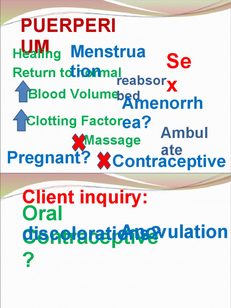 Puerperi UM Healing Return To Normal Blood Volume Clotting Factor