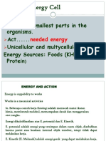 4. energy of cells.ppt