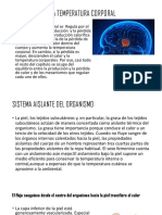 Regulación de La Temperatura Corporal Abigail