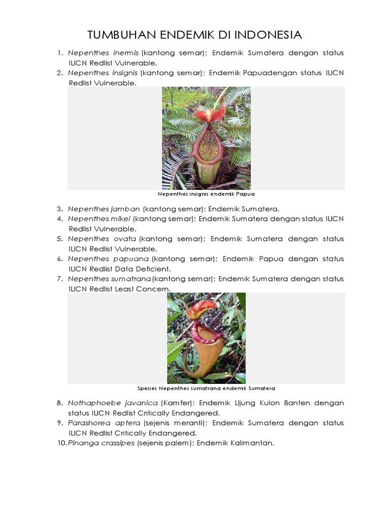Contoh Flora Dan Fauna Di  Indonesia  Yang  Endemis Temukan 