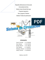 281602400-sistema-de-circulacion-perforacion-pdf.pdf
