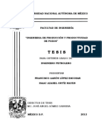 TESIS INGENIERIA DE PRODUCCION Y PRODUCTIVIDAD DE POZOS.pdf