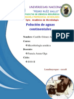 Polucion de Aguas Continentales - Microbiologia Acuatica UNPRG