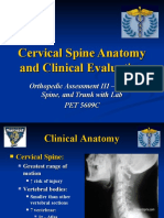 FIU - Cervical Spine