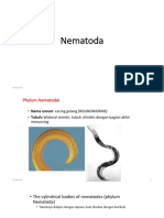 Bab 5b Nematoda