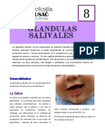 Glándulas salivales.pdf
