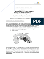 134 - EMBRIOLOGÍA Y ANATOMIA DE LA TRÁQUEA Y EL ESÓFAGO.pdf