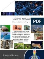 Sistema Nervoso - Fisiologia Comparada