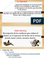 tipicidad en el derecho penal 