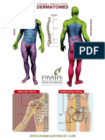 PMIR Dermatome Chart