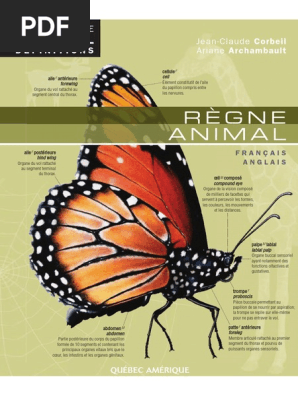 Encyclopedie Regne Animal Pdf Pdf Noyau Biologie Cellule Biologie