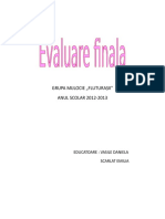 Evaluare Fianala