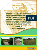 Estudio de Riesgo Sector Seis Final PDF
