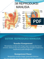 Sistem Reproduksi