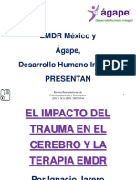 Impact o Trauma y Emdr