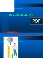 Osmoregulacion Animal 2014