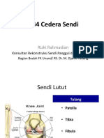 CEDERA SENDI LUTUT