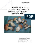 Catalogo de Los Boletaceos Del Cofre de Perote