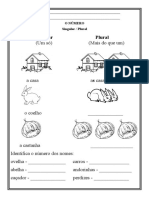 Ficha de Trabalho Singular e Plural