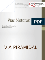 VIAS MOTORAS