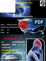 Encefalopatia Hepatica Mas Video