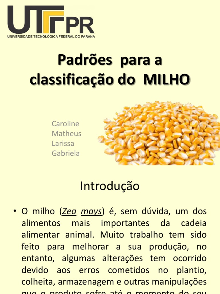 Classificação de Grãos | PDF | Milho | Cereais