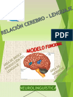 Infografía Cerebro - Lenguaje