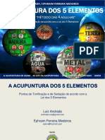 acupuntura_cinco_elementos_metodo_4_agulhas.pdf