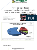 Principales provincias productoras de cultivos ornamentales en Ecuador