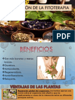 Beneficios y usos de las plantas medicinales