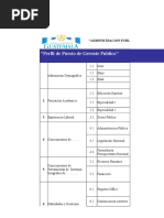 10._Perfil_Puesto_Gerente_publico.
