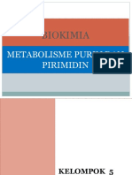 Metabolisme Purin dan Pirimidin