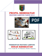 08 Prov Lampung 2013