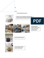 Hasil Praktikum Fitokimia