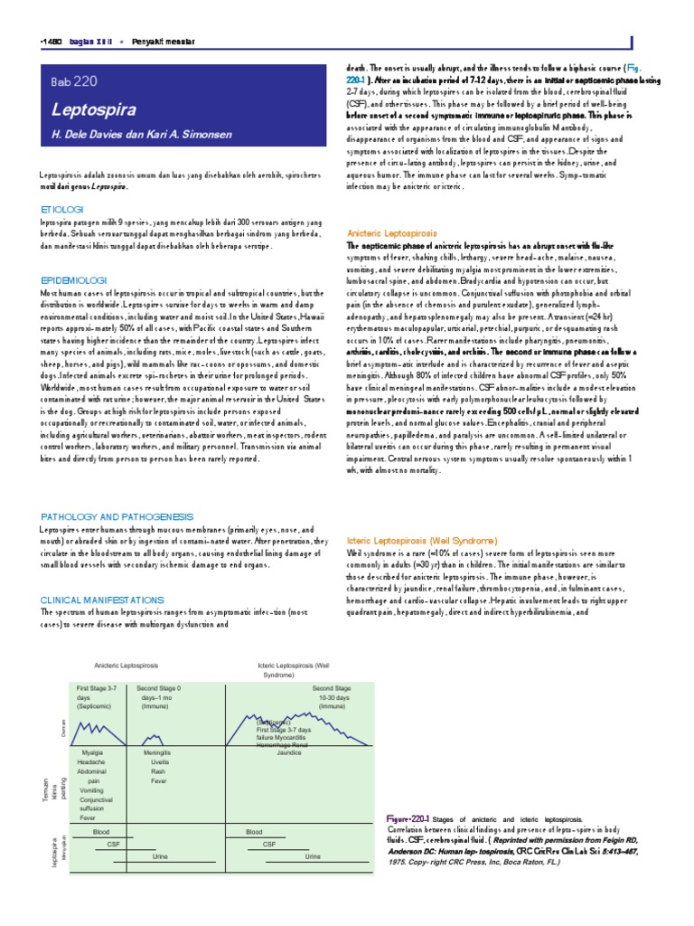 Anicteric vs Icteric Leptospirosis | PDF | Medical Specialties ...