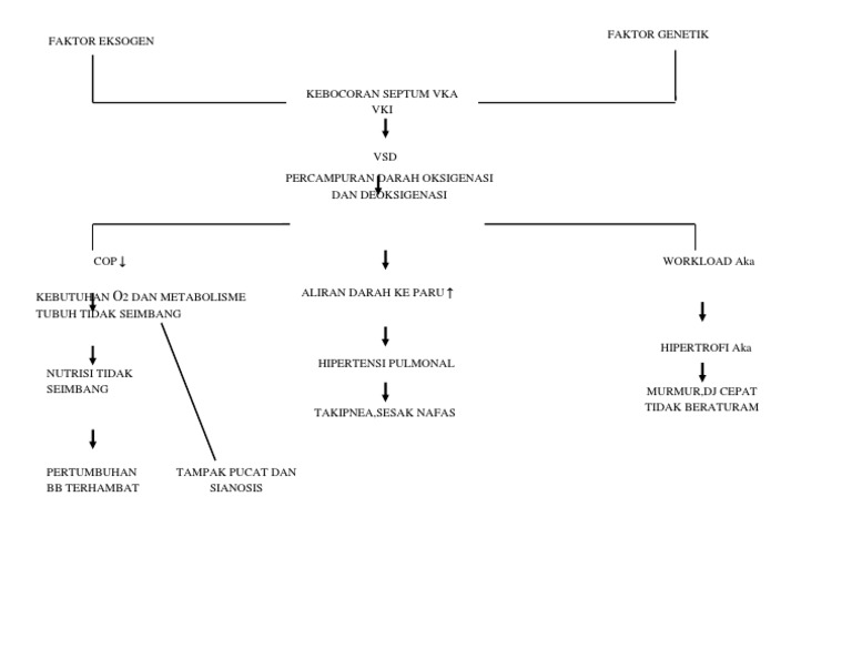 Pathway VSD | PDF