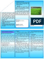 Leaflet Penyemaian Sengon