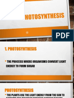 Photosynthesis (Light Dependent Reaction and Light-Independent Reaction)