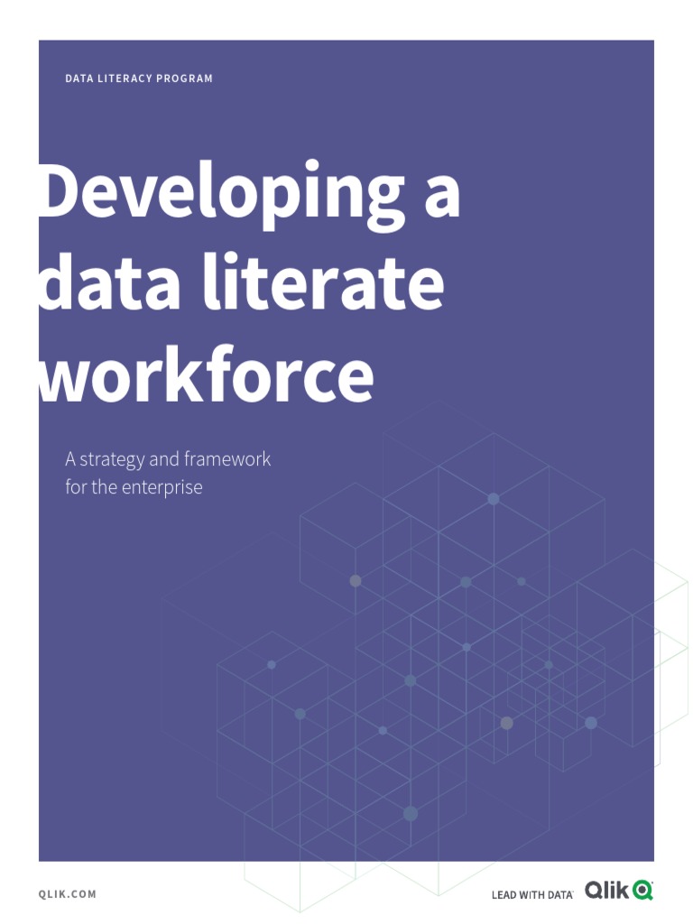 Qlik Education Data Literacy Program Strategy And Framework