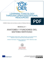 Anatomia e funções do sistema nervoso