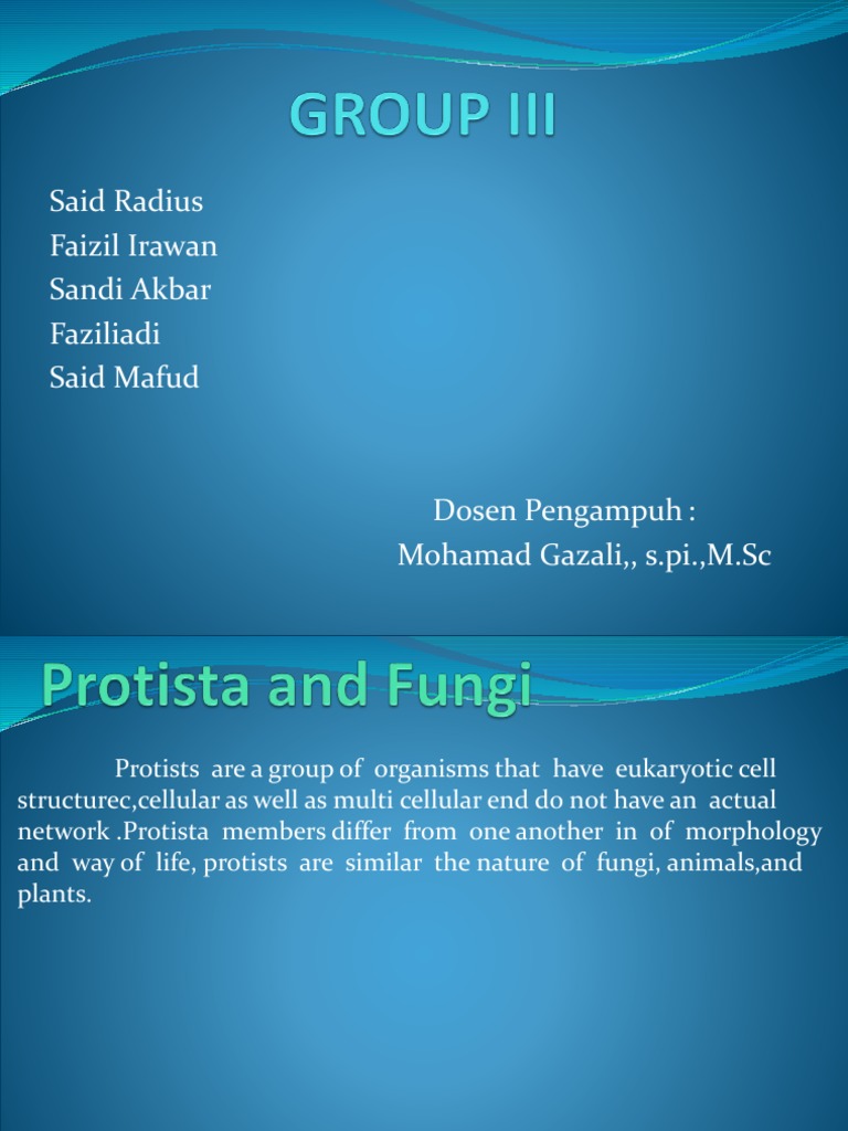 Understanding Protists and Fungi | PDF