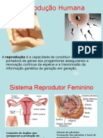 Reprod Humana