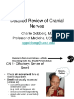 pe_cranialexam.pdf